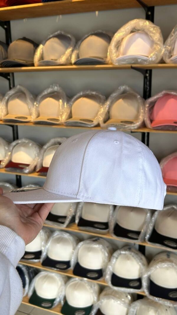 Plana Blanco