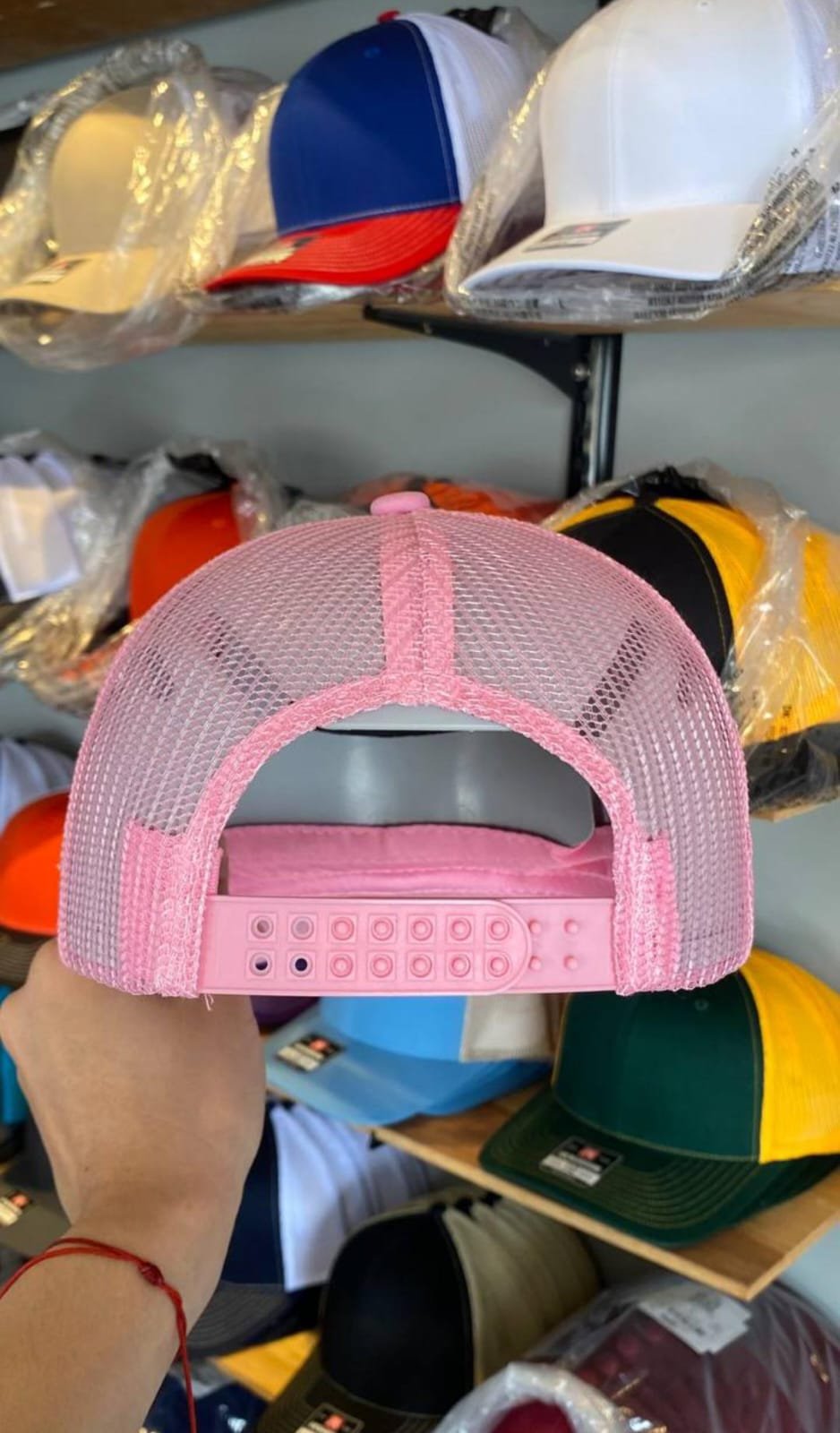 Curva Rosa con Malla