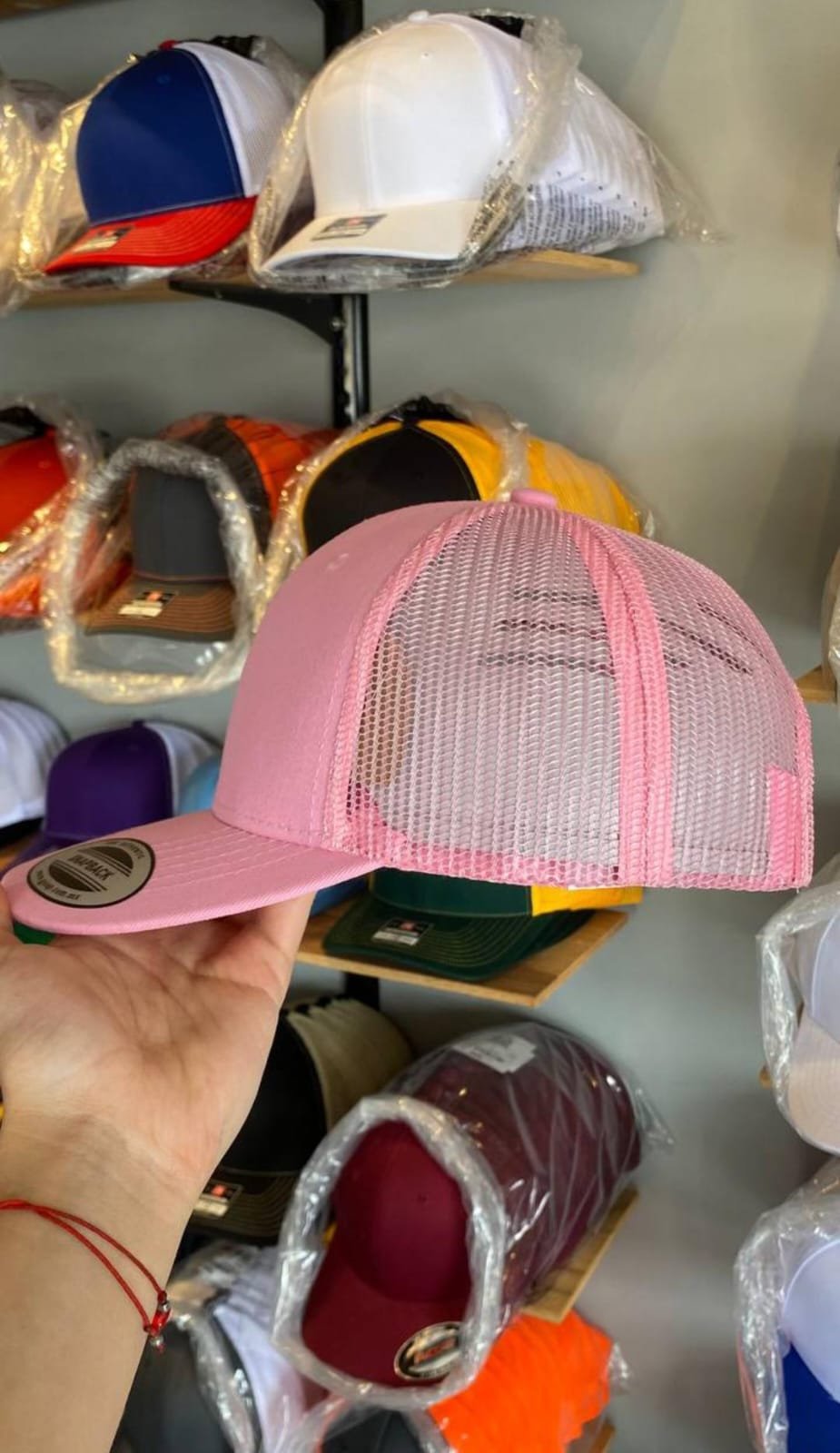 Curva Rosa con Malla