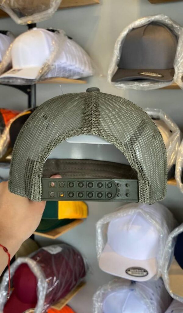 Curva Verde con Malla